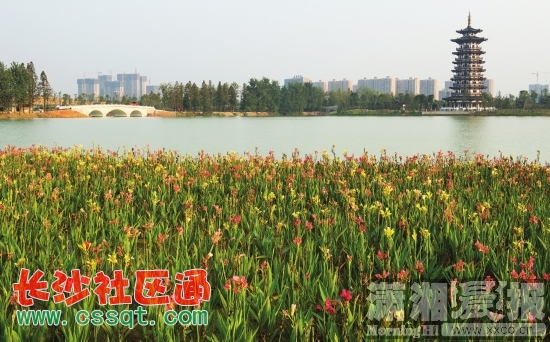 2014925ع@L(fng)箋D/ӛxLF